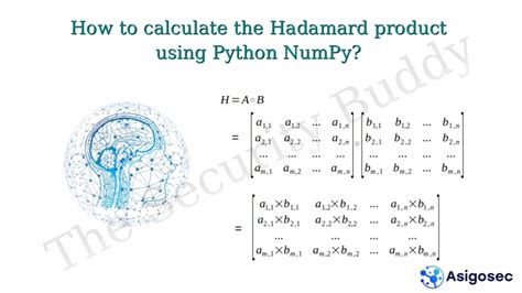 how to get hadamard in numpy.